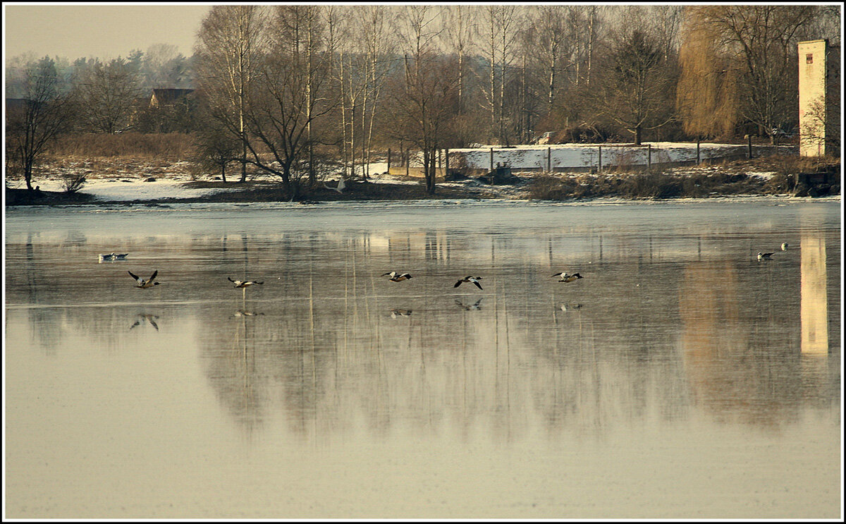 *** - Aleksandr Gal *** - Aleksandr Gal