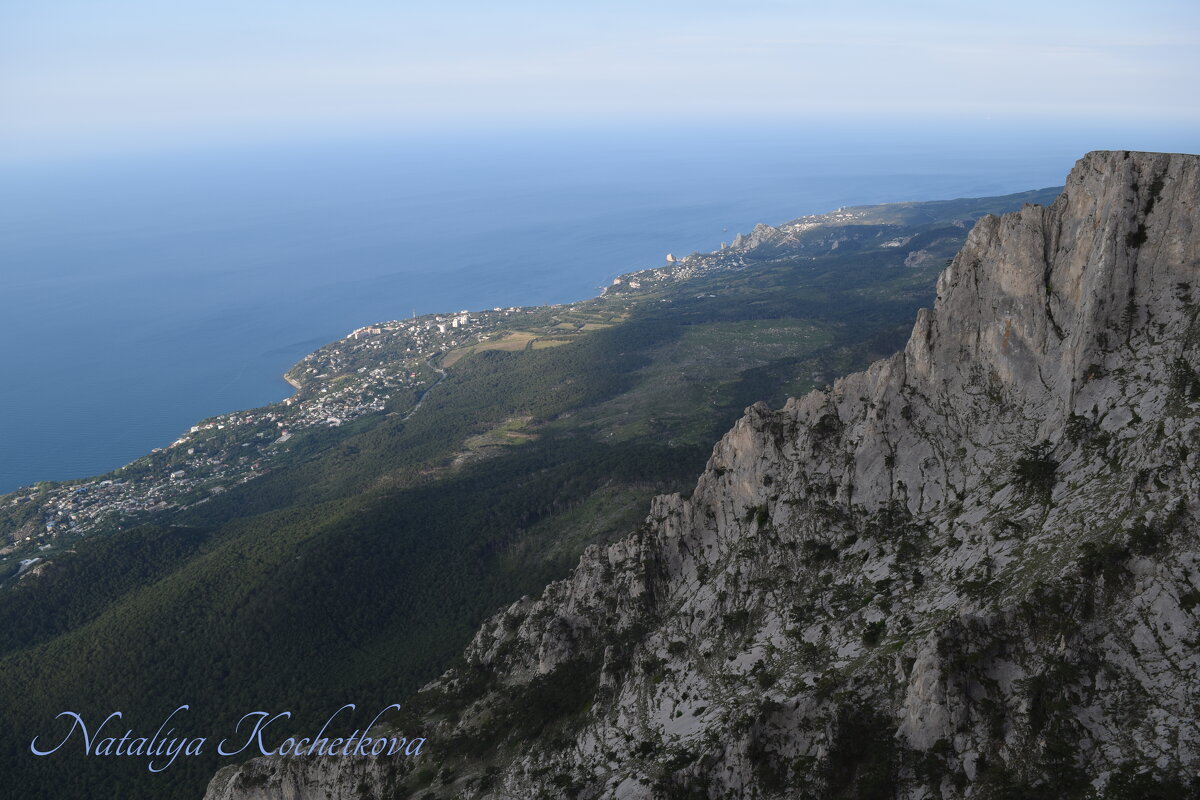 Природа Крыма - Amazing Cosmea