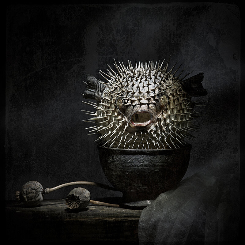 Б/Н - Владимир Нефедов