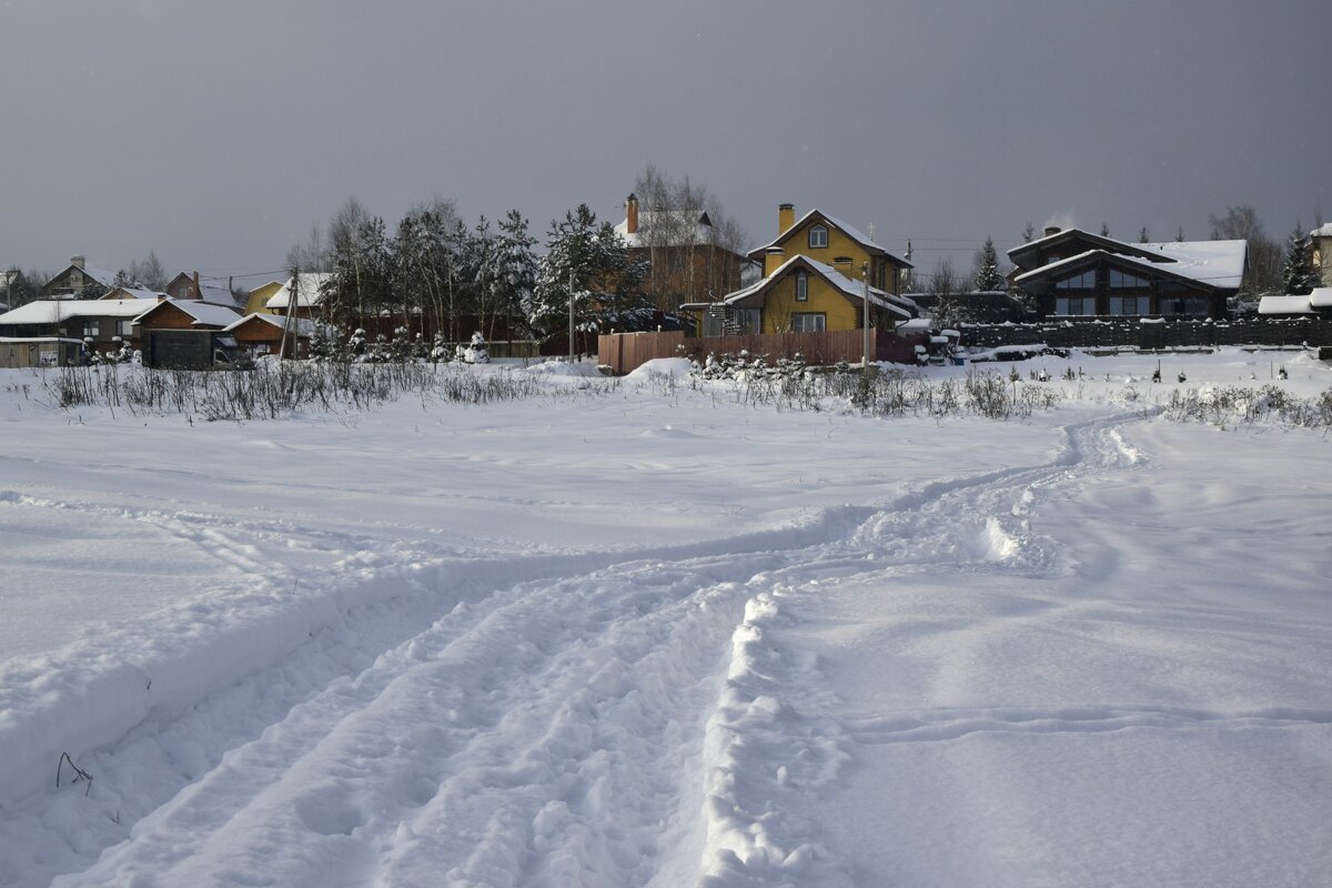 Поле в снегу - Мария Яковлева
