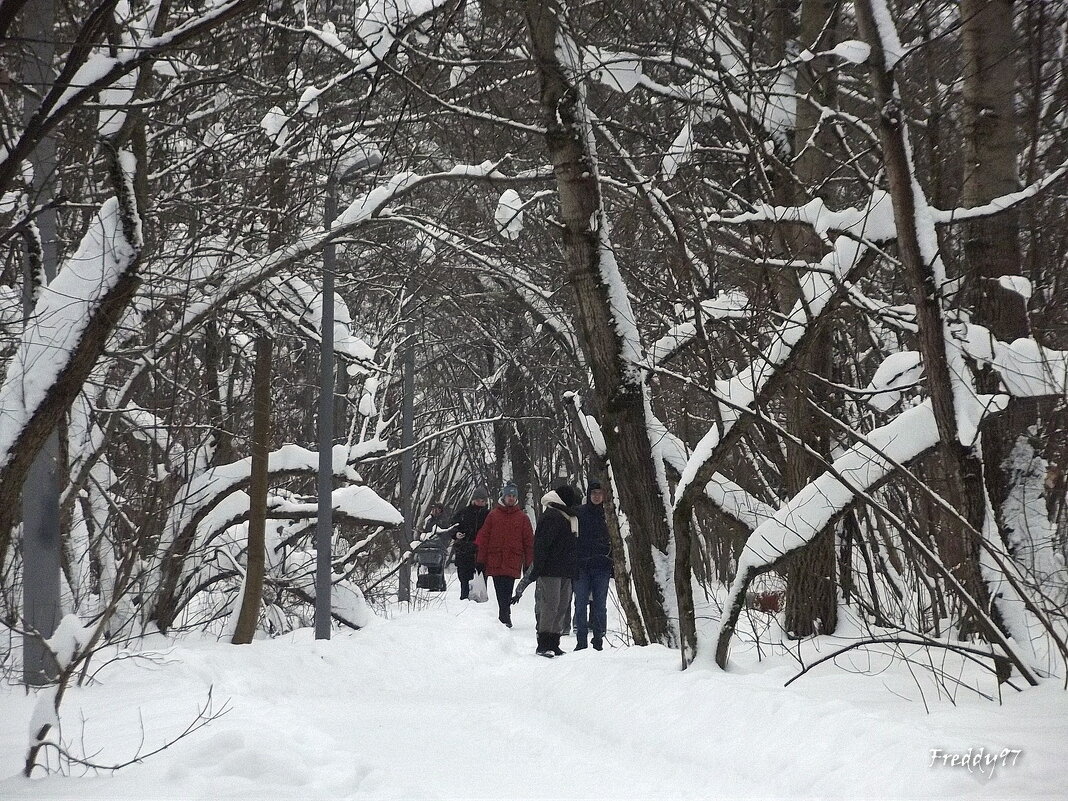 Прогулка - Freddy 97