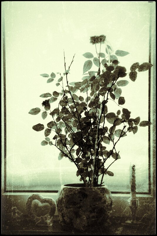 . . . - Руслан 