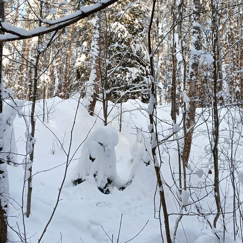 парочка - Владимир 