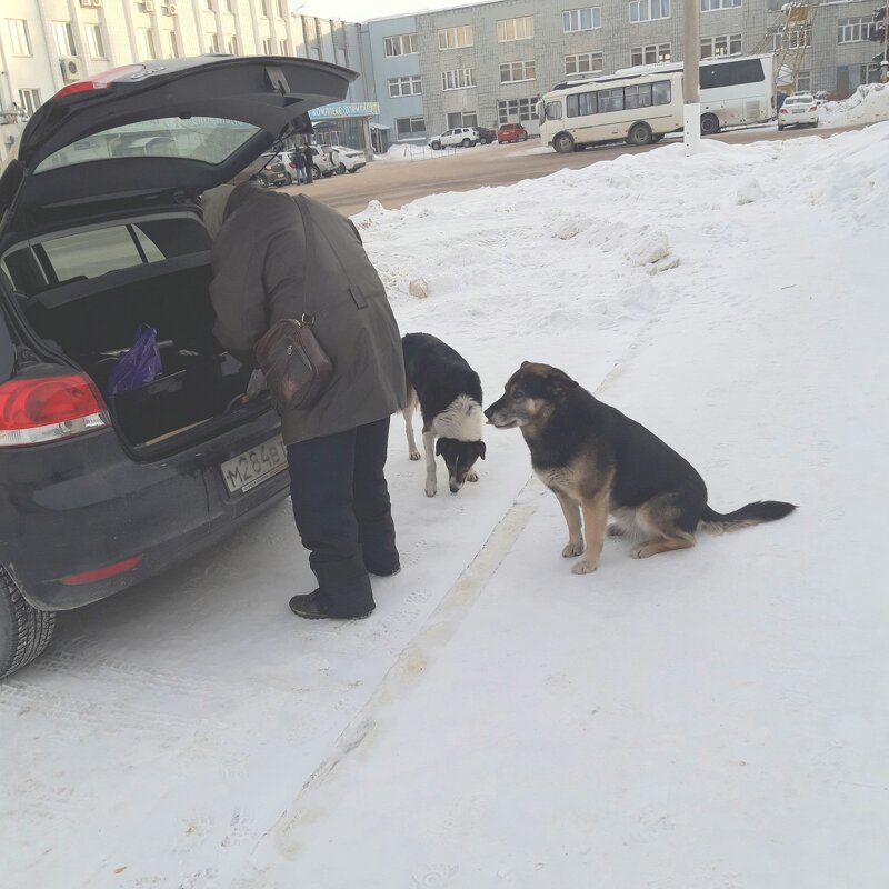 Зима, мороз - Венера Чуйкова