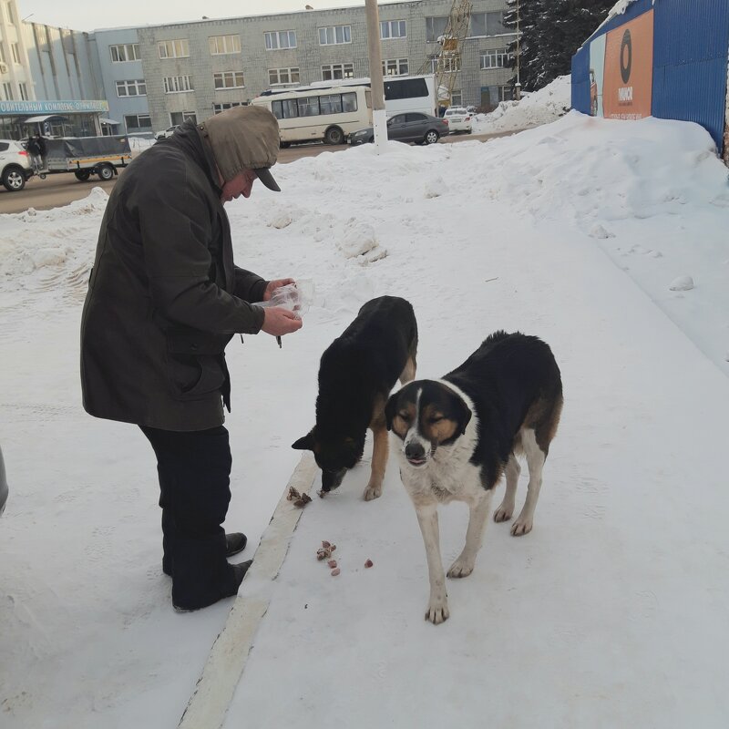 Зима, мороз - Венера Чуйкова