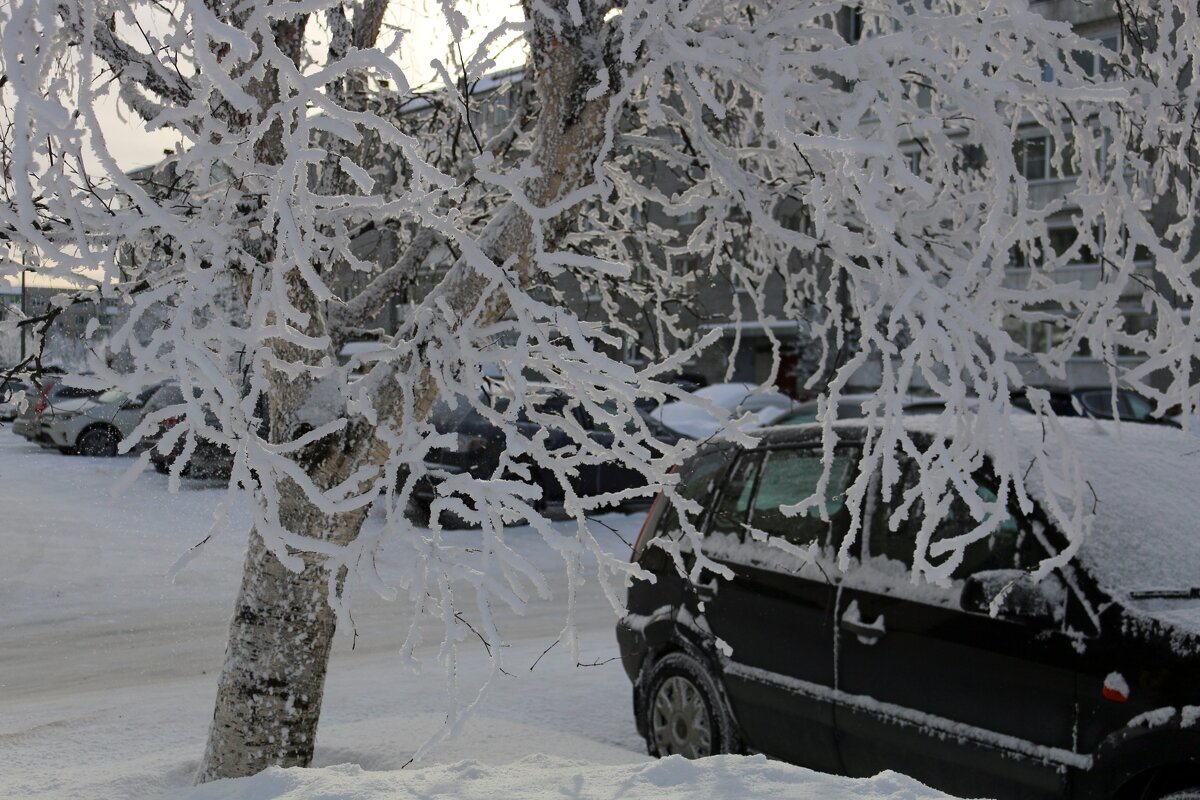 Зимний город - Ольга 