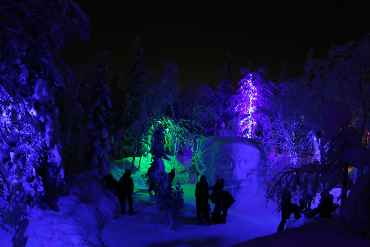 Ночь в Таинственном лесу - Ольга Ночь в Таинственном лесу - Ольга