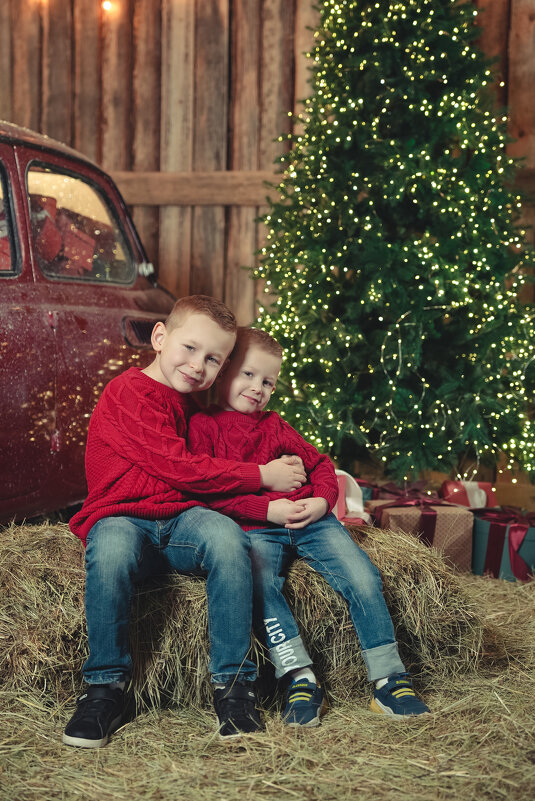 Братья - Виктория Мята