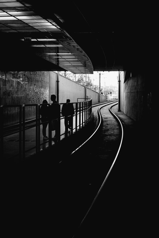 *** - Сергей Полянский