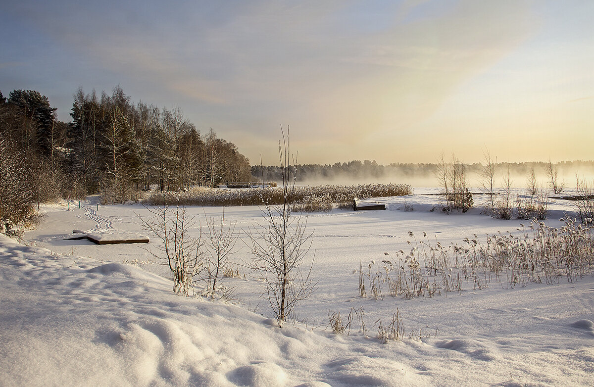 Утро на Вуоксе. Река в Ленобласти. - Bosanat 