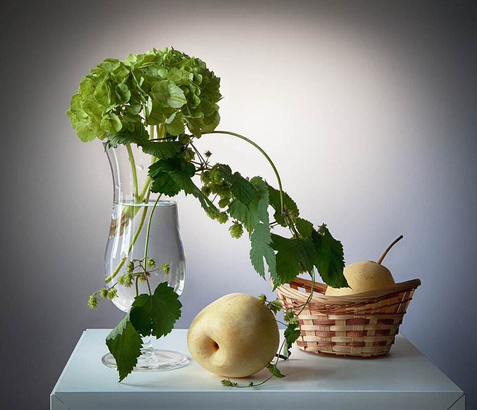 Натюрморт с зелёной гортензией. - Лилия *