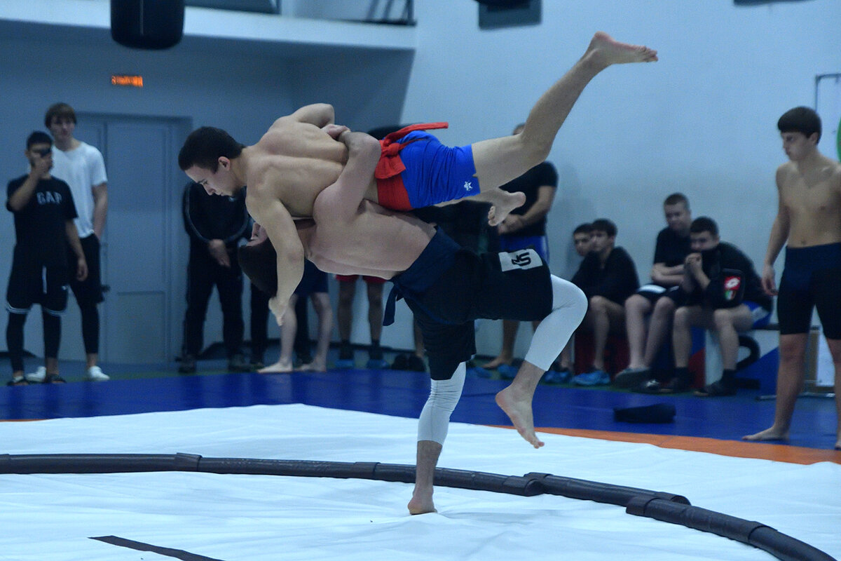 СУМО по нашему... - Александр Гриднев СУМО по нашему... - Александр Гриднев