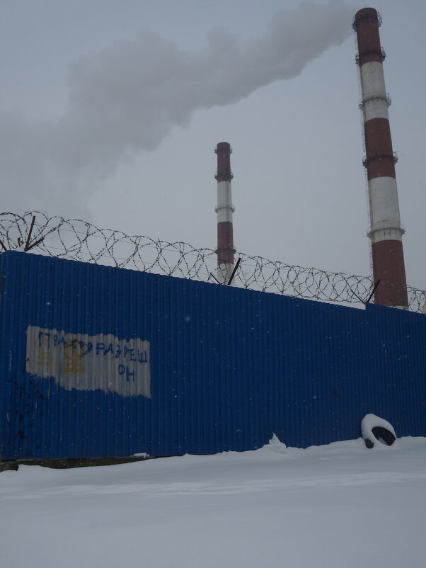 сегодня / вчера / позавчера / ПРАХОД РАЗРЕШ ОН - zavitok *