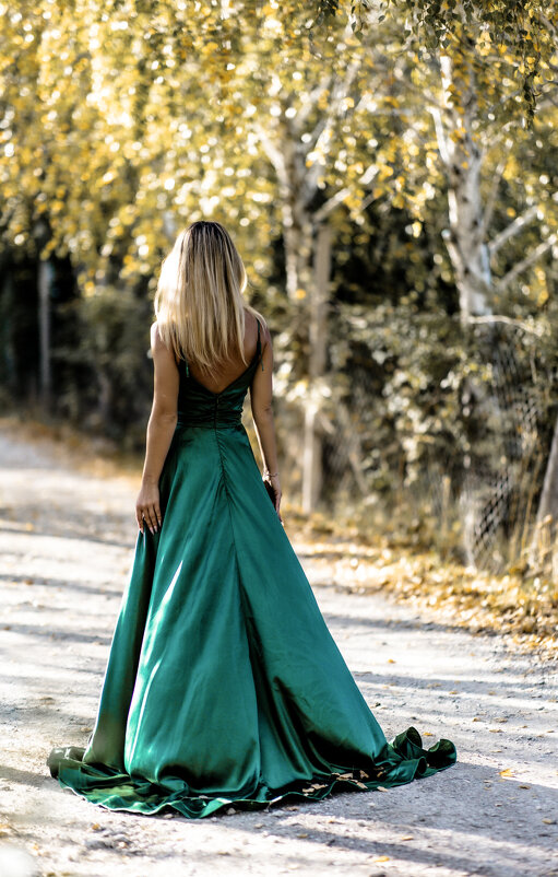 Уходя... - Ron Nessi 