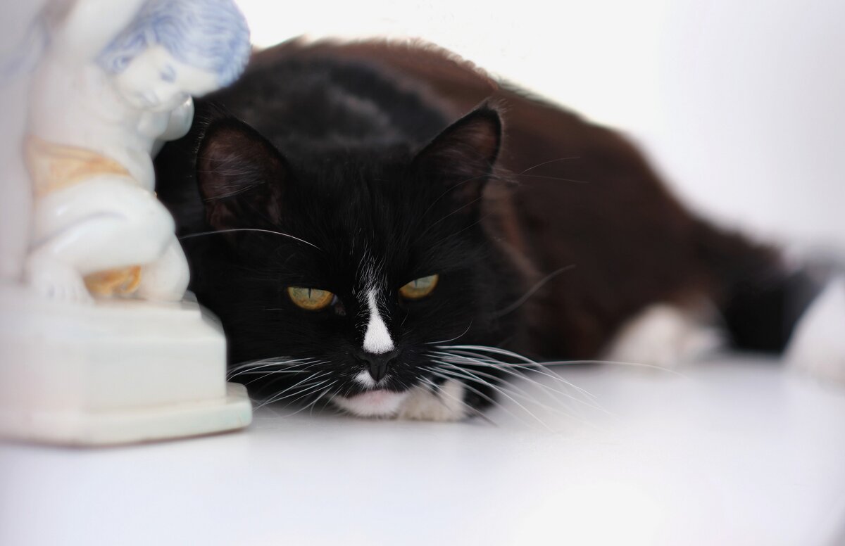 Думы ...) - Андрей Зайцев Думы ...) - Андрей Зайцев