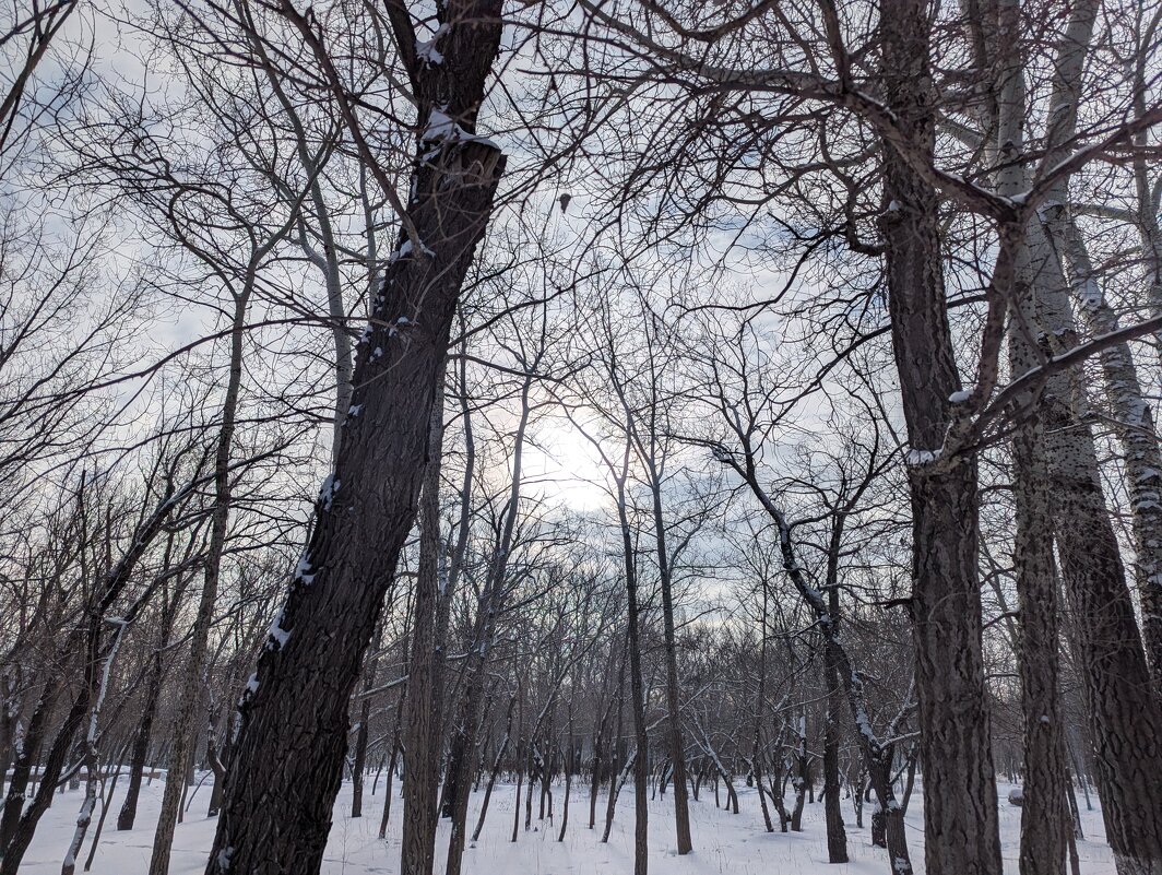 Скупое Солнце - Андрей Хлопонин