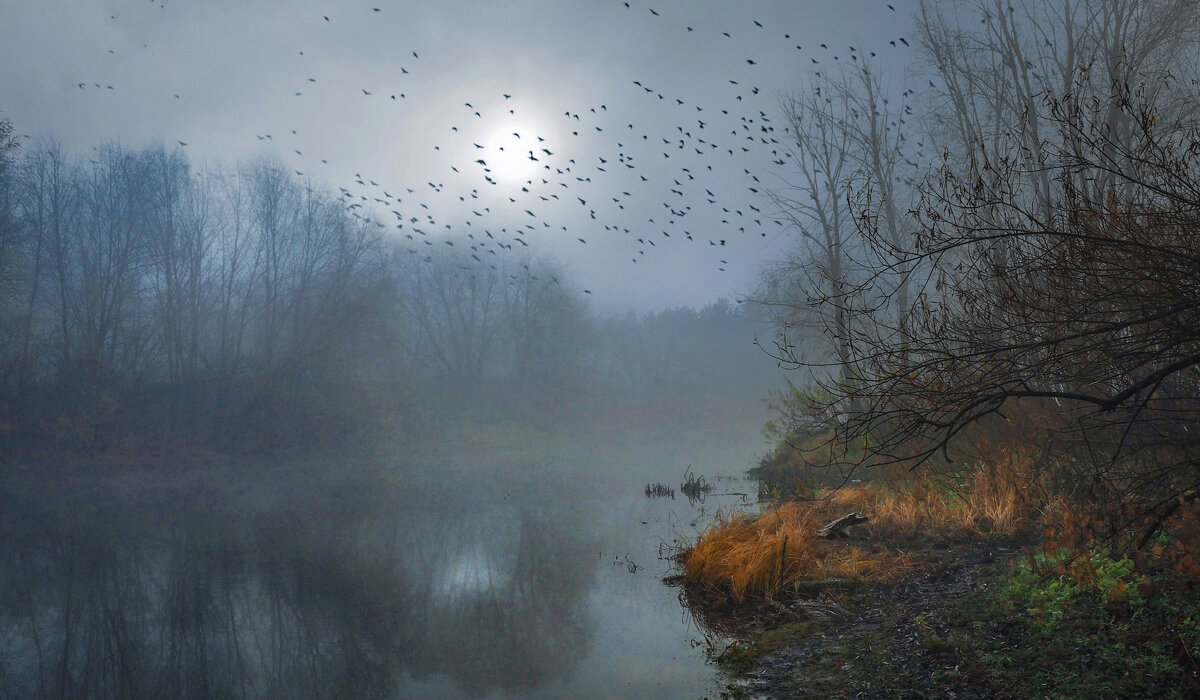 Раннее утро на озере. - Тамара Бучарская Раннее утро на озере. - Тамара Бучарская