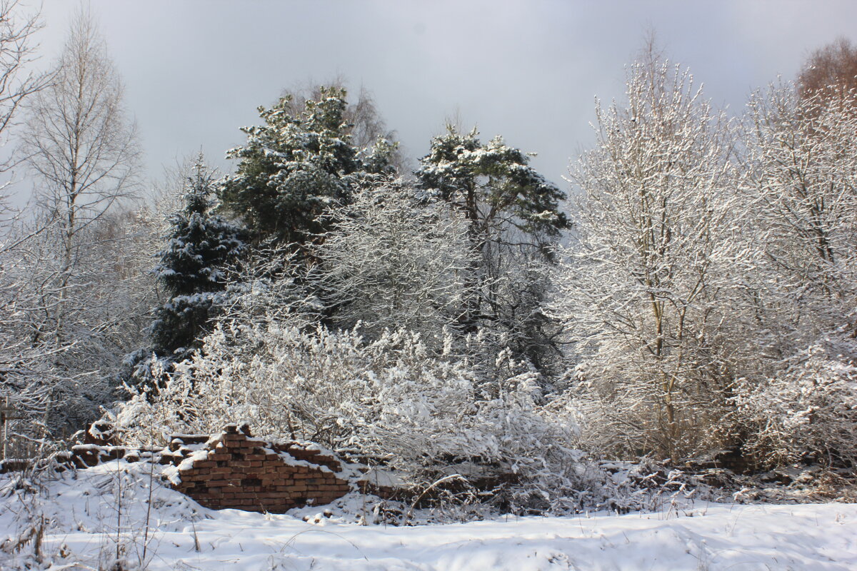 Зимним днем - Сергей Кочнев