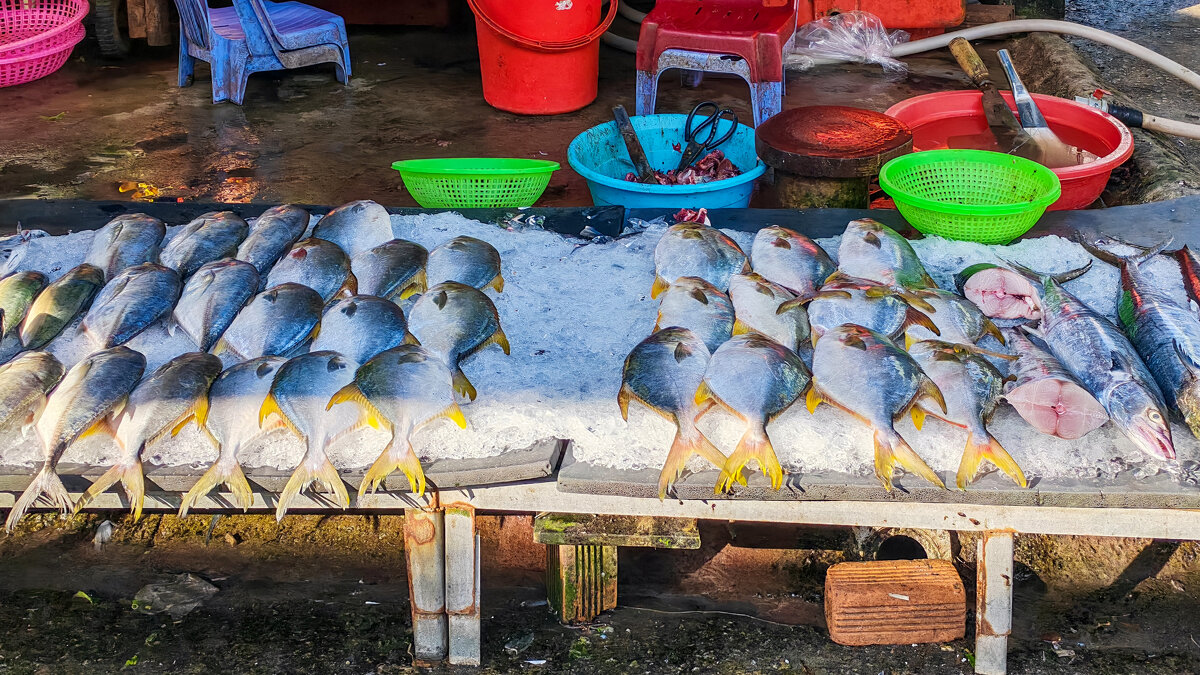 Свежая рыба - Dmitry i Mary S