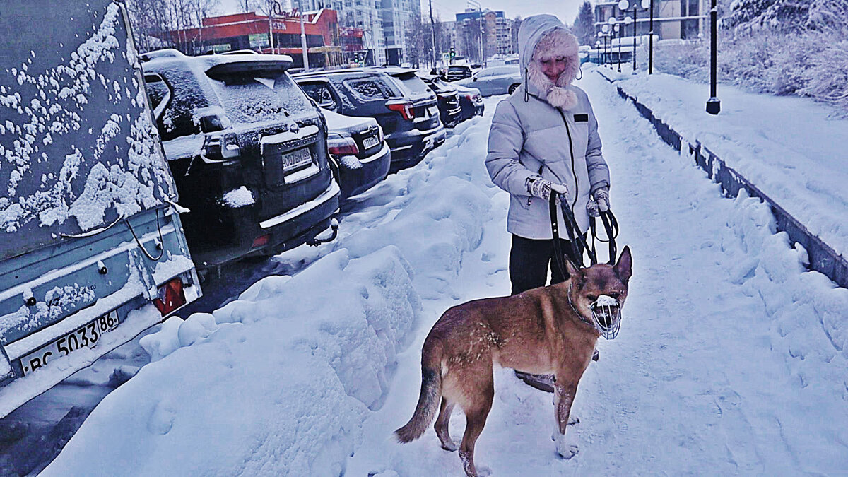 С Лолитой на прогулке! - Владимир 