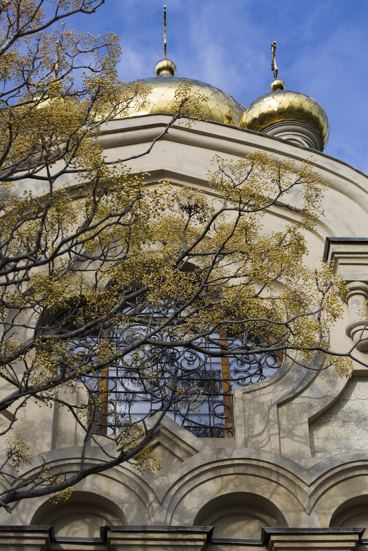 *** - Елена Агеева *** - Елена Агеева