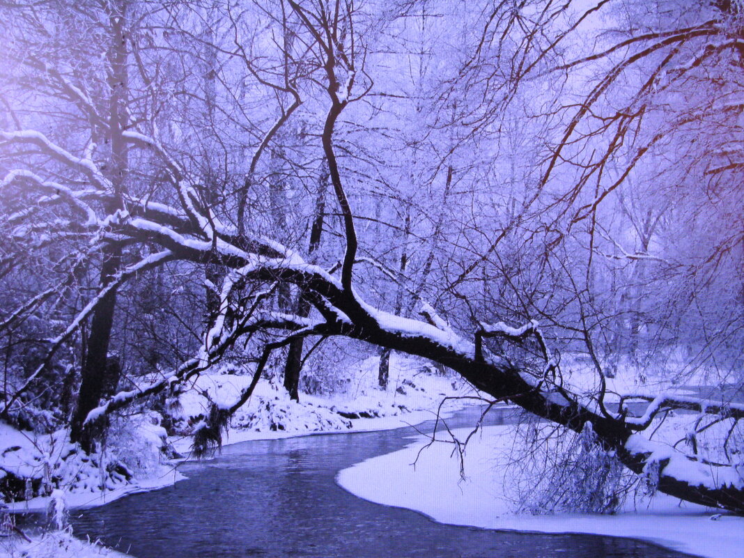 В лесу - Людмила Смородинская