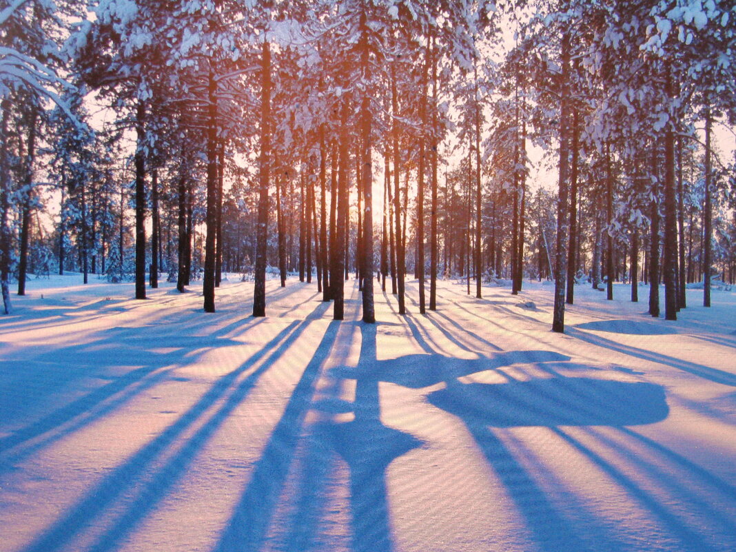 Красивые тени - Людмила Смородинская