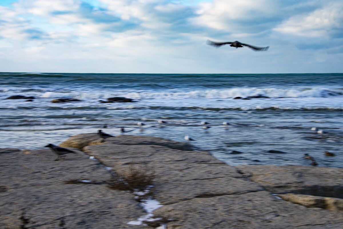 Море - Анатолий Чикчирный