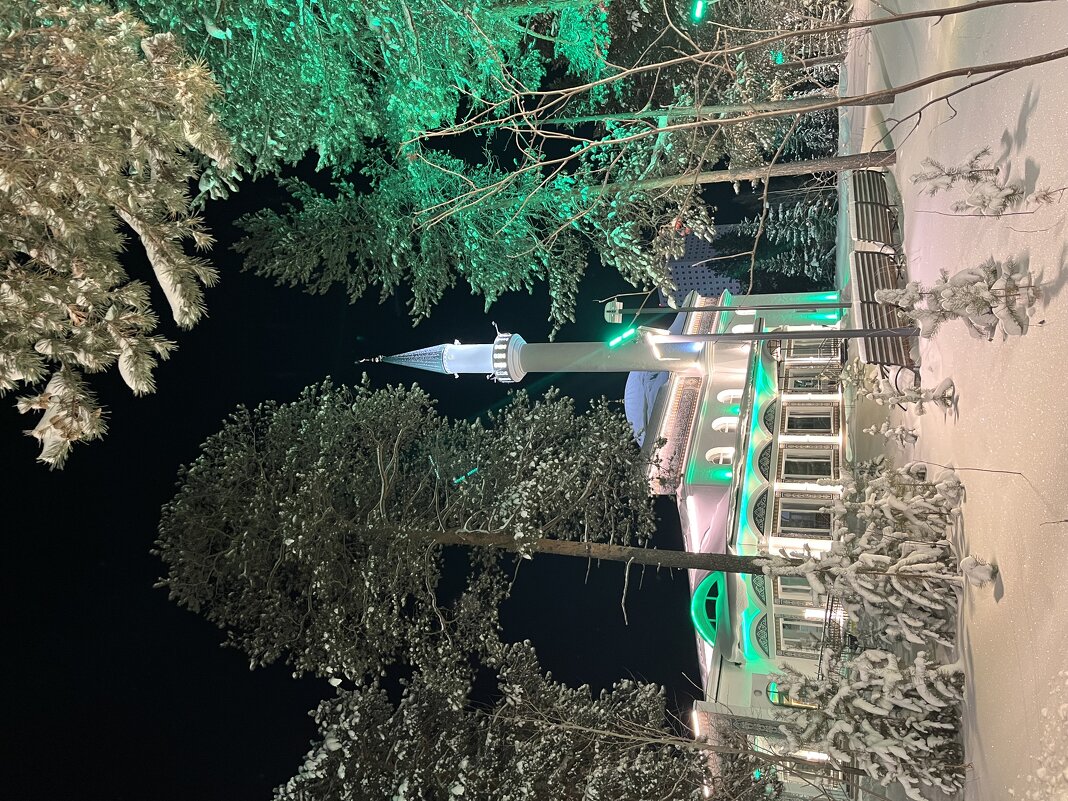 Мечеть - Эльвира Белянская Мечеть - Эльвира Белянская