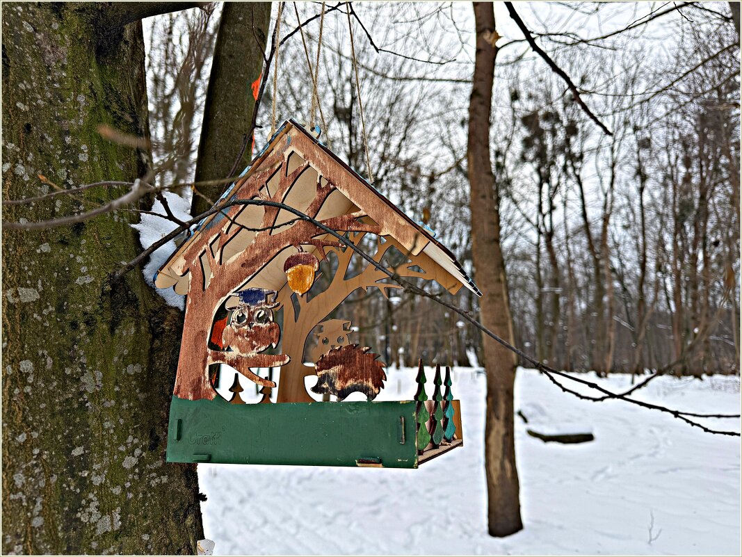 Симпатичная кормушка. - Валерия Комова Симпатичная кормушка. - Валерия Комова