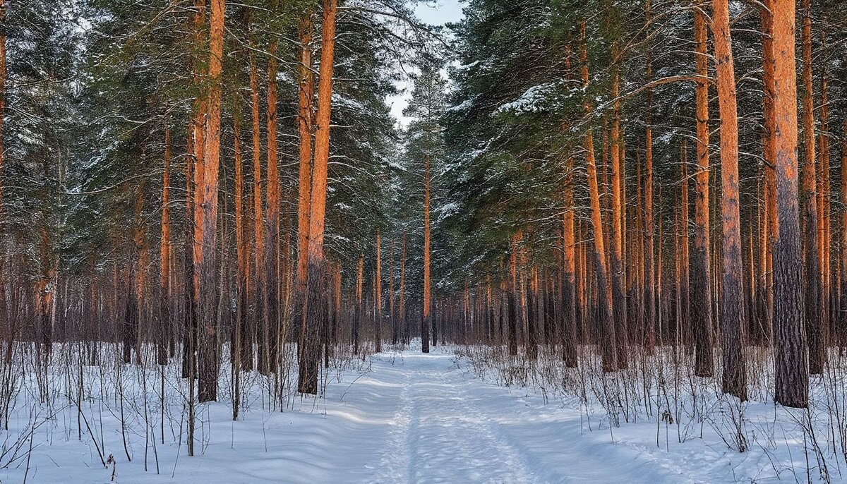 Зимний пейзаж ... - Ravile 