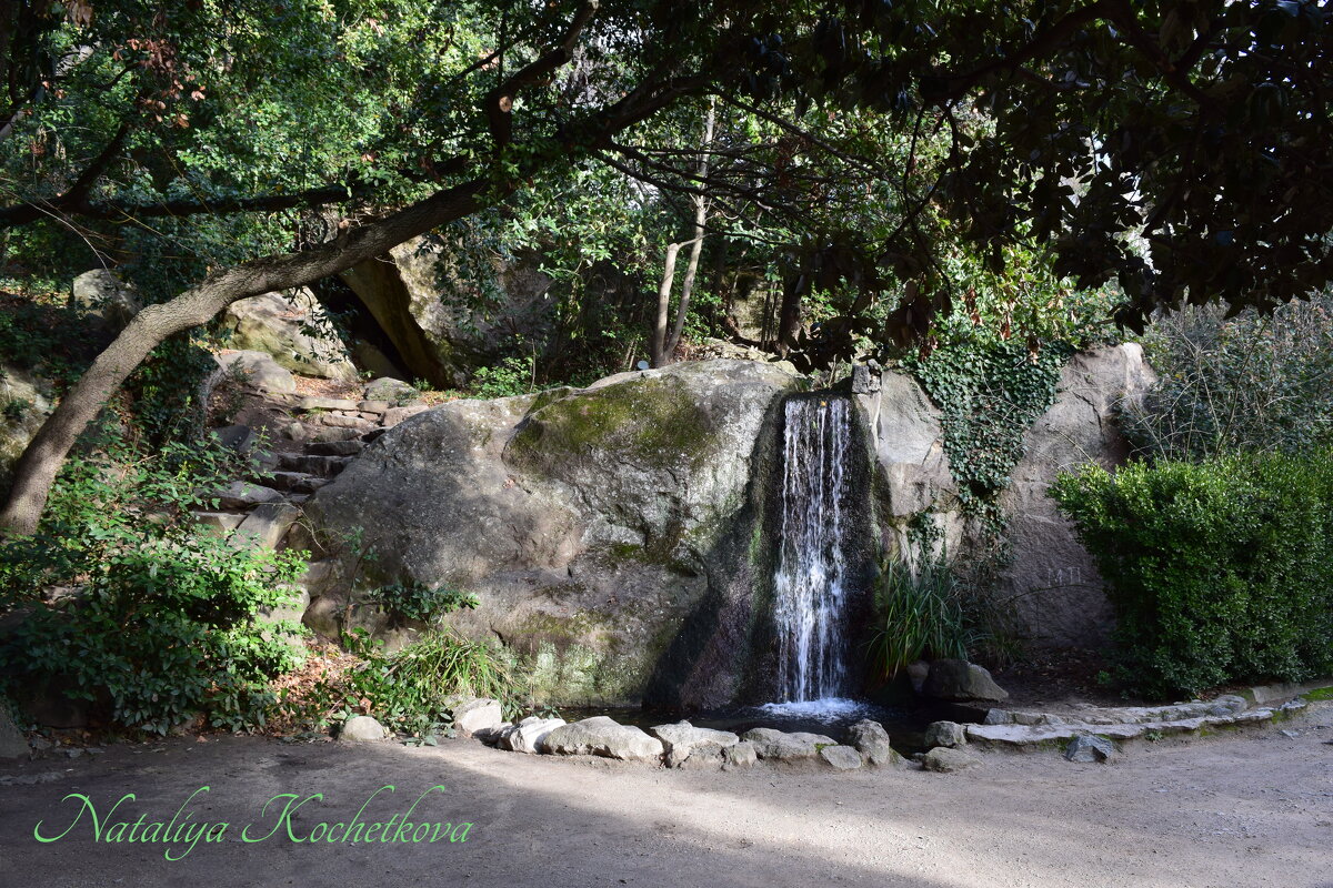 Природа Крыма - Amazing Cosmea