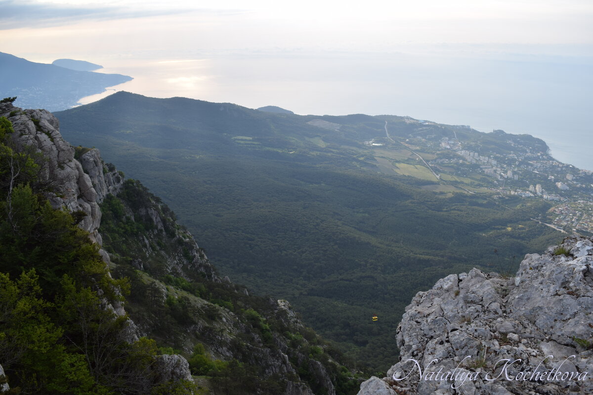 Природа Крыма - Amazing Cosmea Природа Крыма - Amazing Cosmea