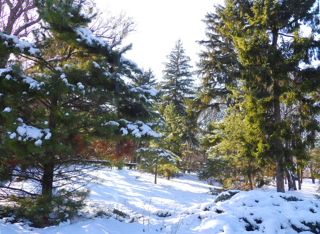 Природа Крыма - Валентин Семчишин Природа Крыма - Валентин Семчишин