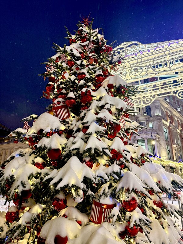 Зимняя сказка 2026 - Iren Brilliance