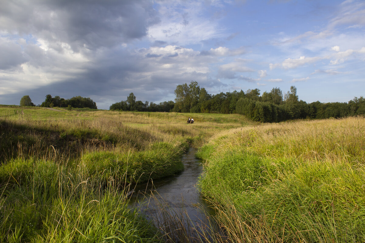 *** - Александр. AVG100 --- *** - Александр. AVG100 ---