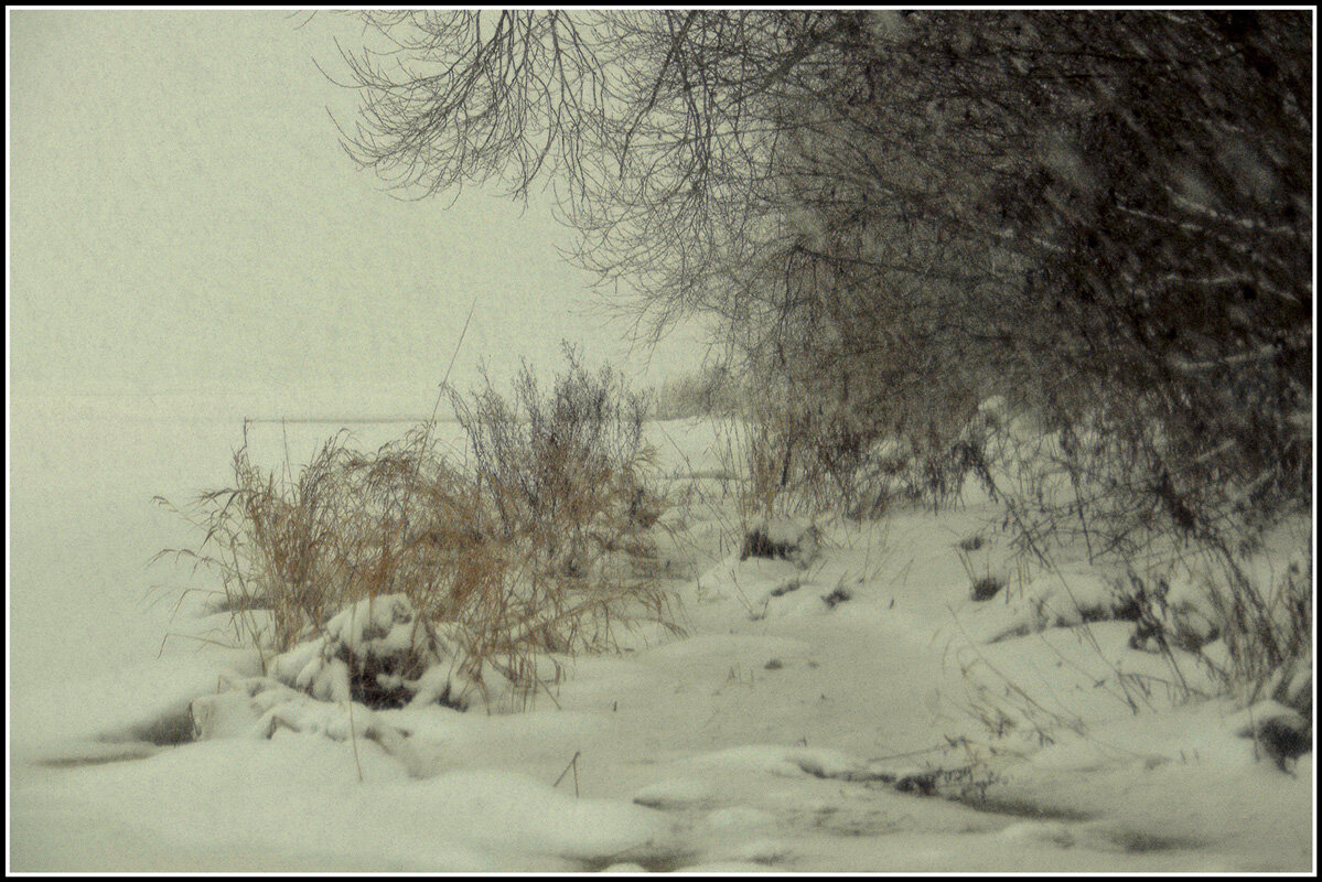 *** - Aleksandr Gal *** - Aleksandr Gal