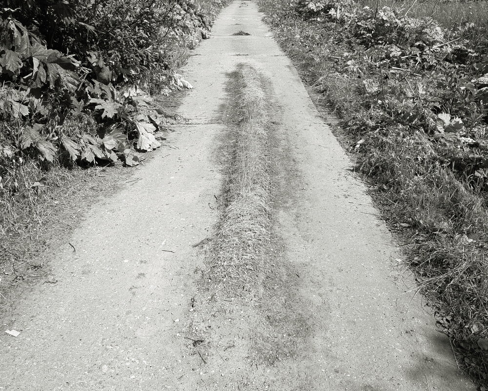 Фотография - Денис Безногов