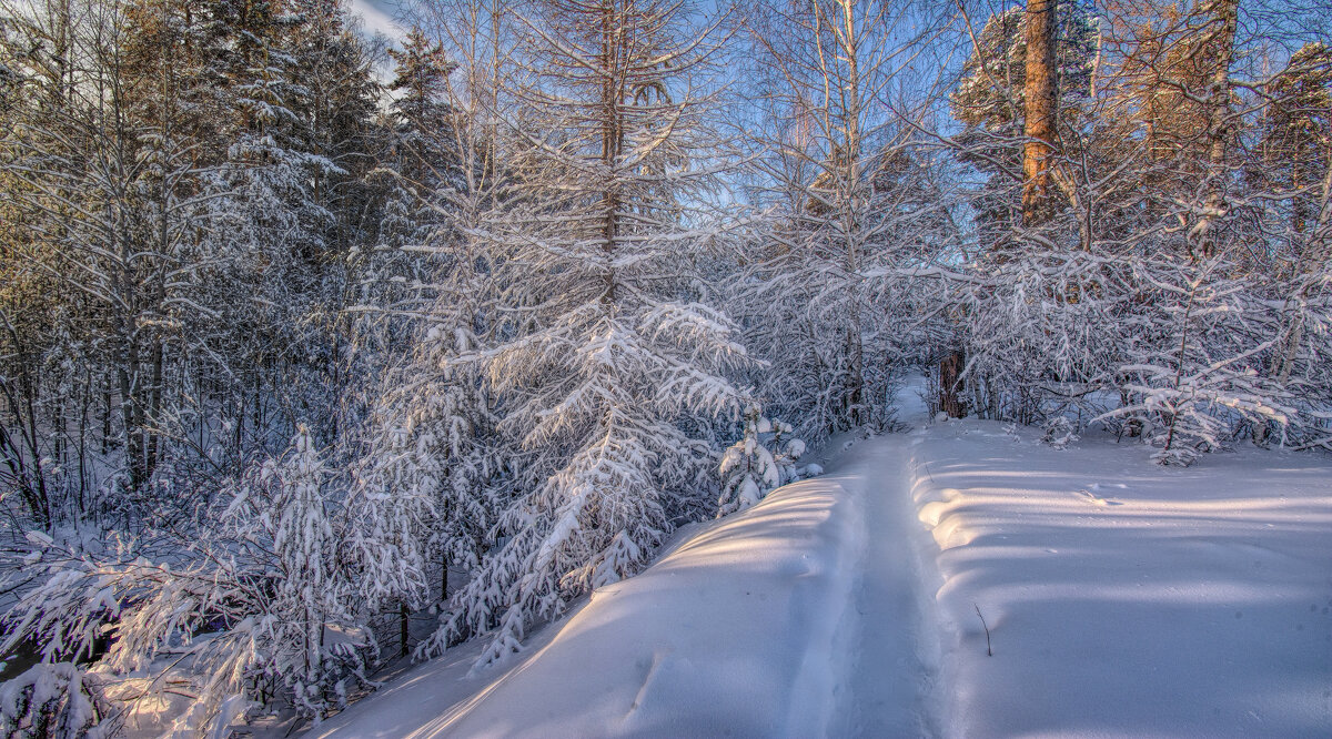 Тропинка - Vladimbormotov Тропинка - Vladimbormotov