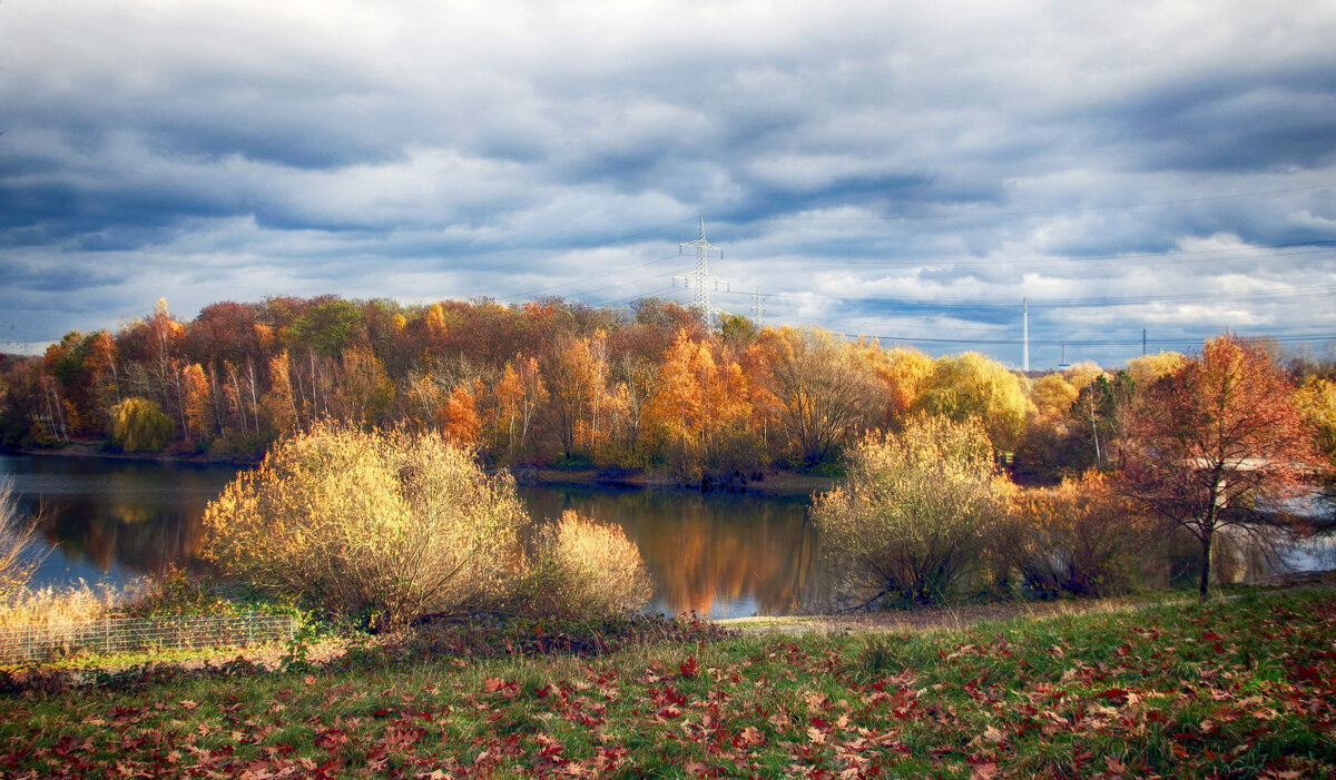 **** - Андроник Александр 