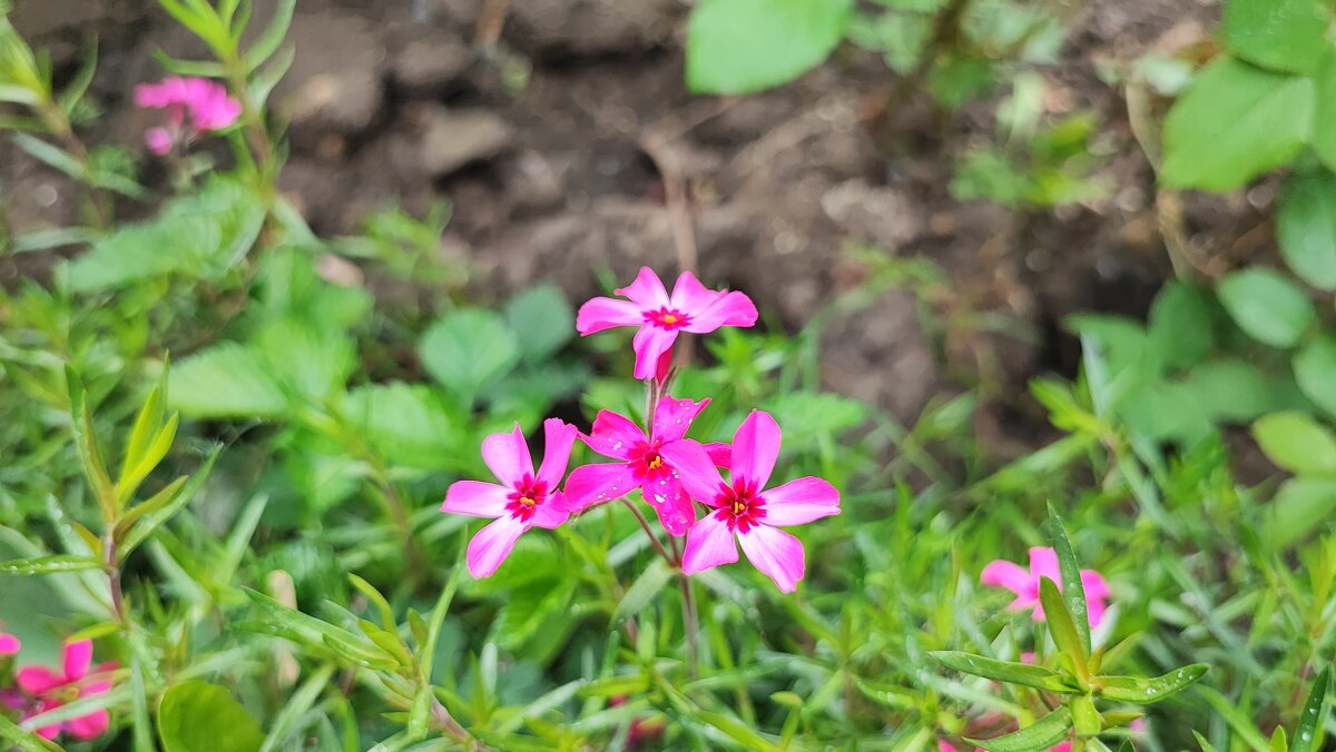 ,,, - Сергей Тимоновский