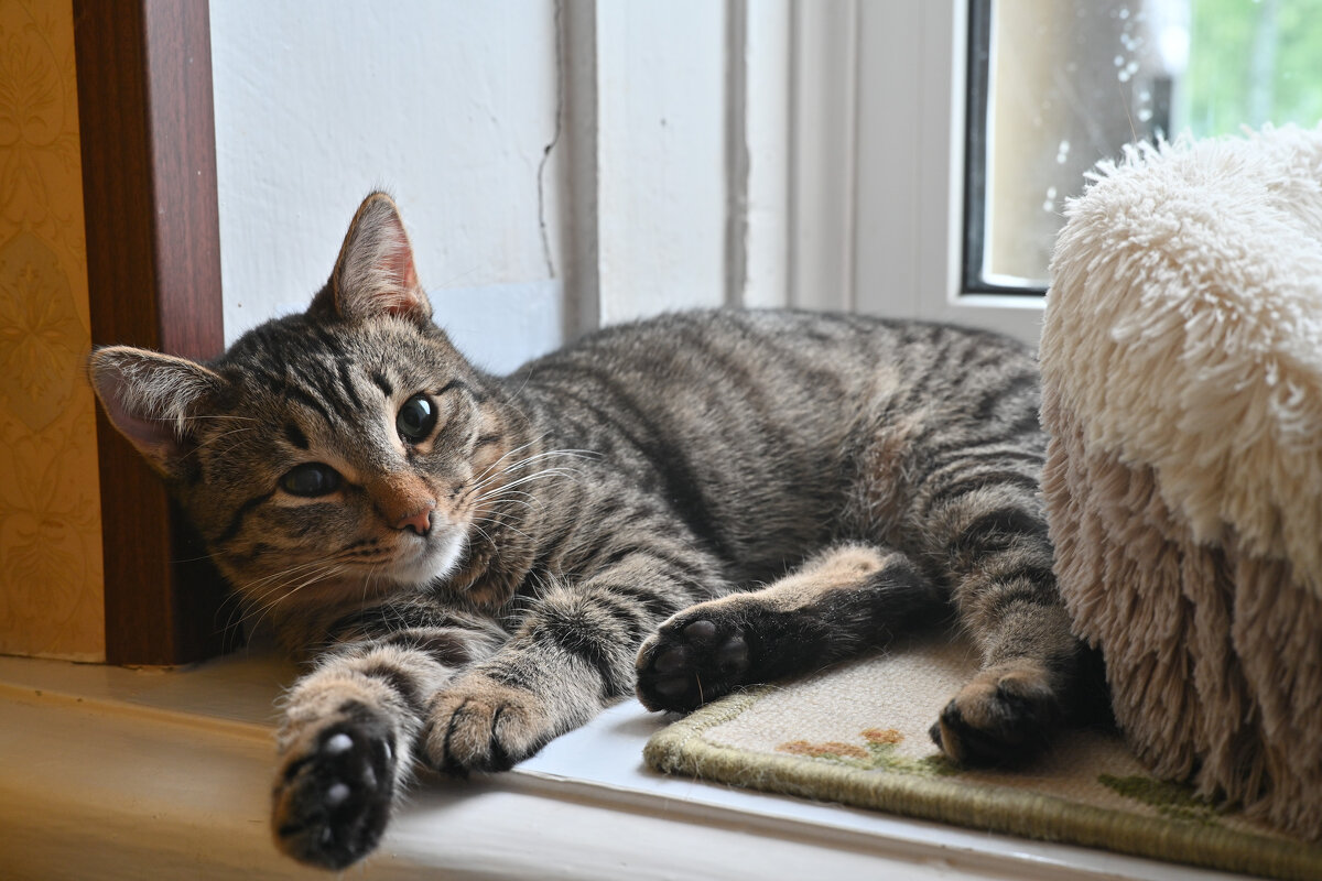 "Скумбрия" он же Гоша... - Вадим 