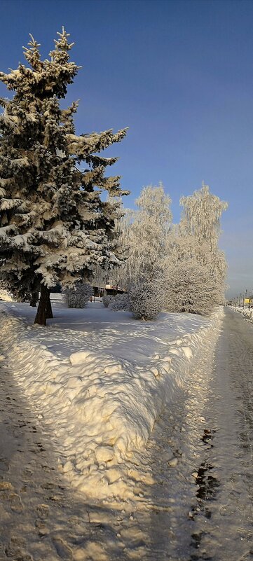 Зимний город - Игорь Сычёв