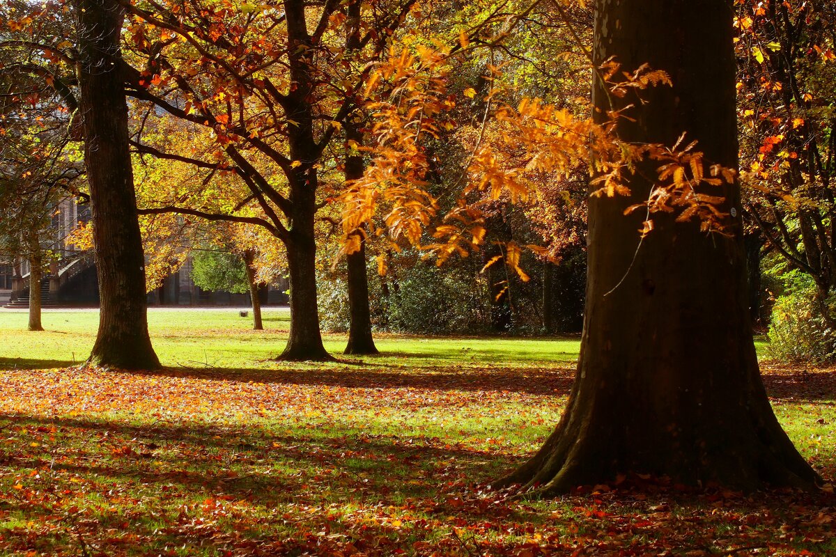 Осенний день - Юрий. Шмаков