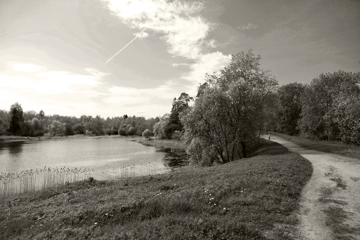 Пруды Гатчины - Наталья 