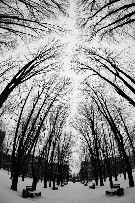 *** - Евгений П.