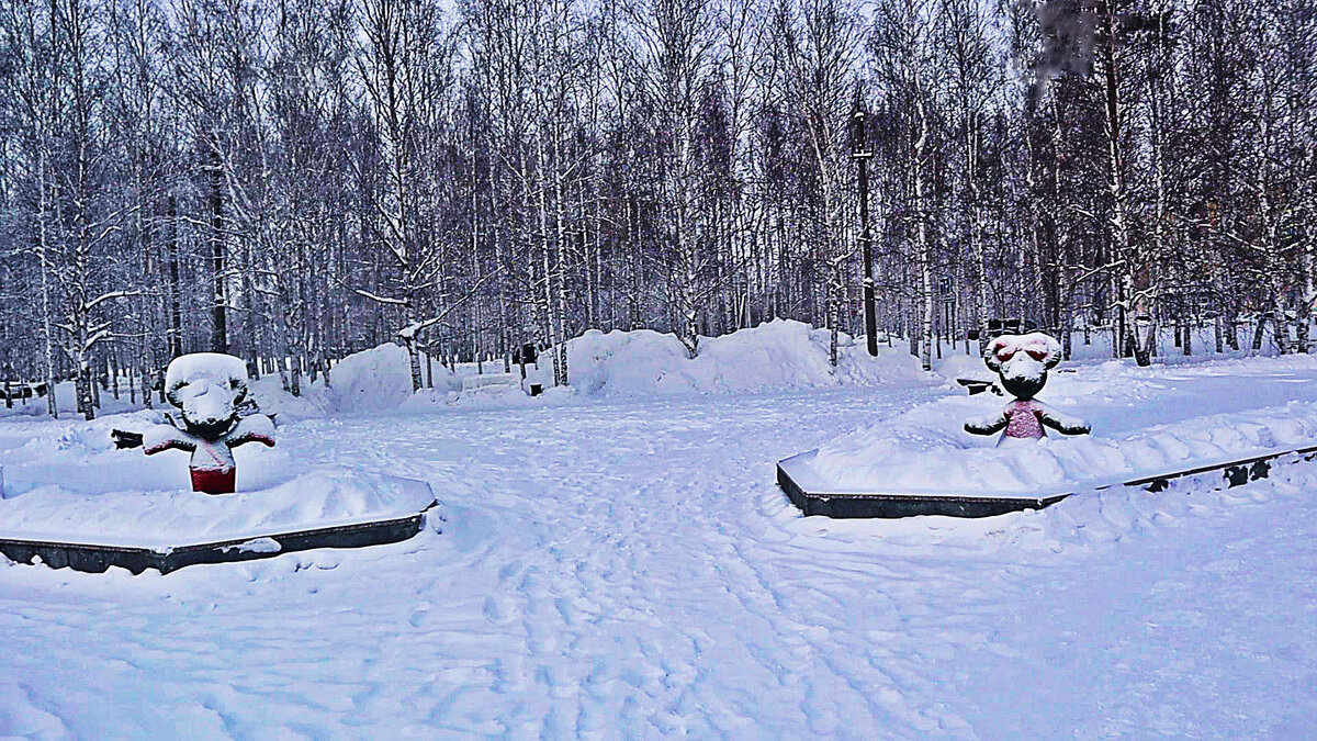 Зима в сквере Победы! - Владимир 