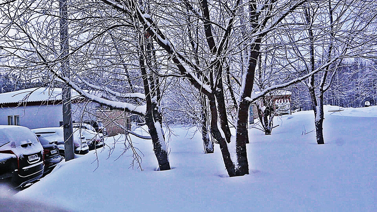 Январь...Зимний этюд! - Владимир 