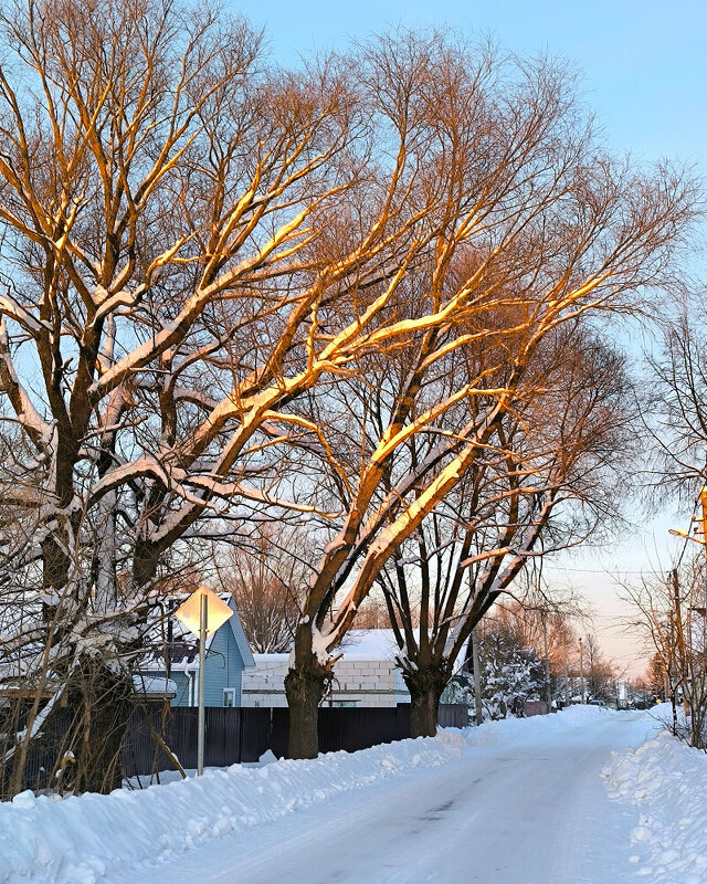 Зимняя дорога - Елена 