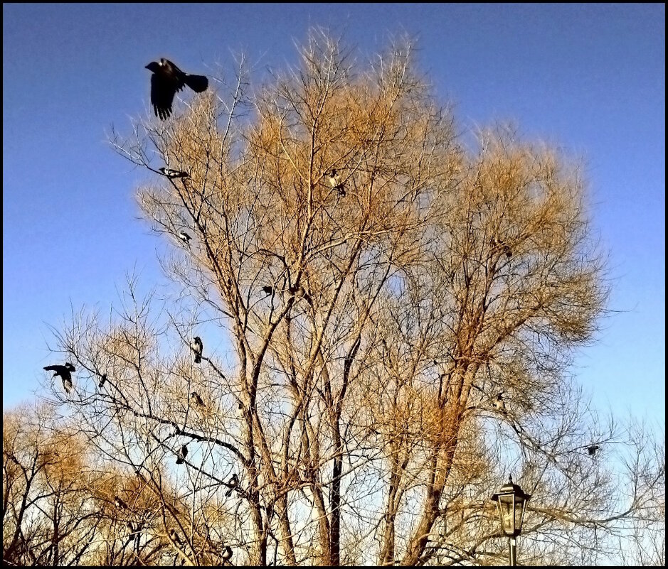 Слёт "санитаров города" - Ольга Довженко